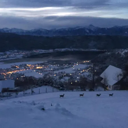 Apartment Gemütliches Seeblick-appartement: Ossiachersee & Bergpanorama